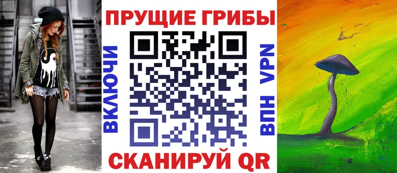 блэк спрут ссылки  Циолковский  Псилоцибиновые грибы Psilocybe 